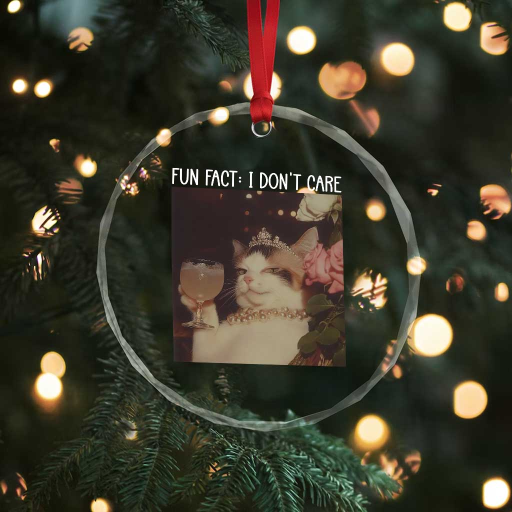 Cat Meme Crystal Glass Ornament Fun Fact I Dont Care Funny Saying Quote TS10 Print Your Wear