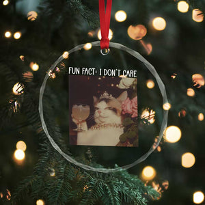 Cat Meme Crystal Glass Ornament Fun Fact I Dont Care Funny Saying Quote TS10 Print Your Wear