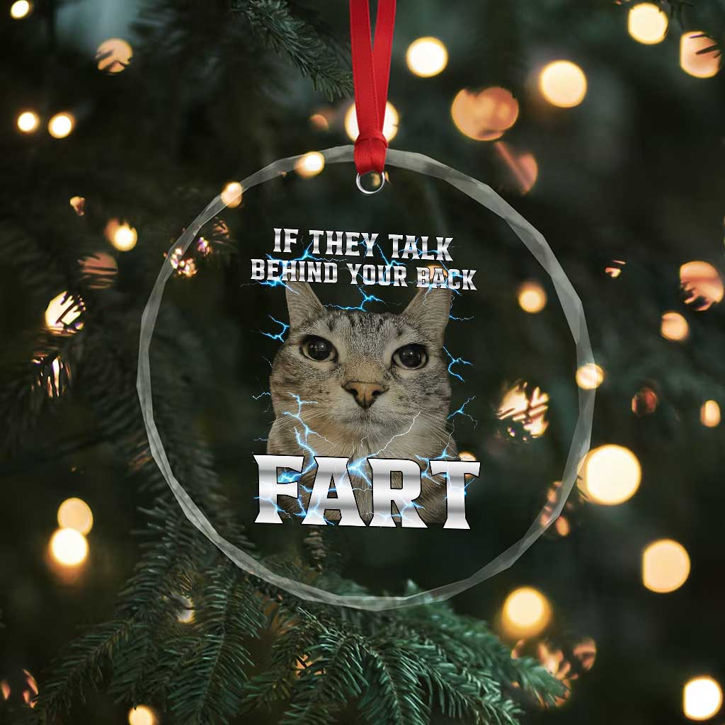Cat Meme If They Talk Behind Your Back Fart Crystal Glass Ornament Funny Oddly Specific TS10 Print Your Wear