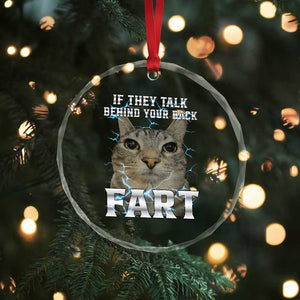 Cat Meme If They Talk Behind Your Back Fart Crystal Glass Ornament Funny Oddly Specific TS10 Print Your Wear