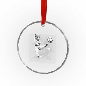 Cat Playing Soccer Crystal Glass Ornament Funny Cat Lover Gift TS12 Print Your Wear