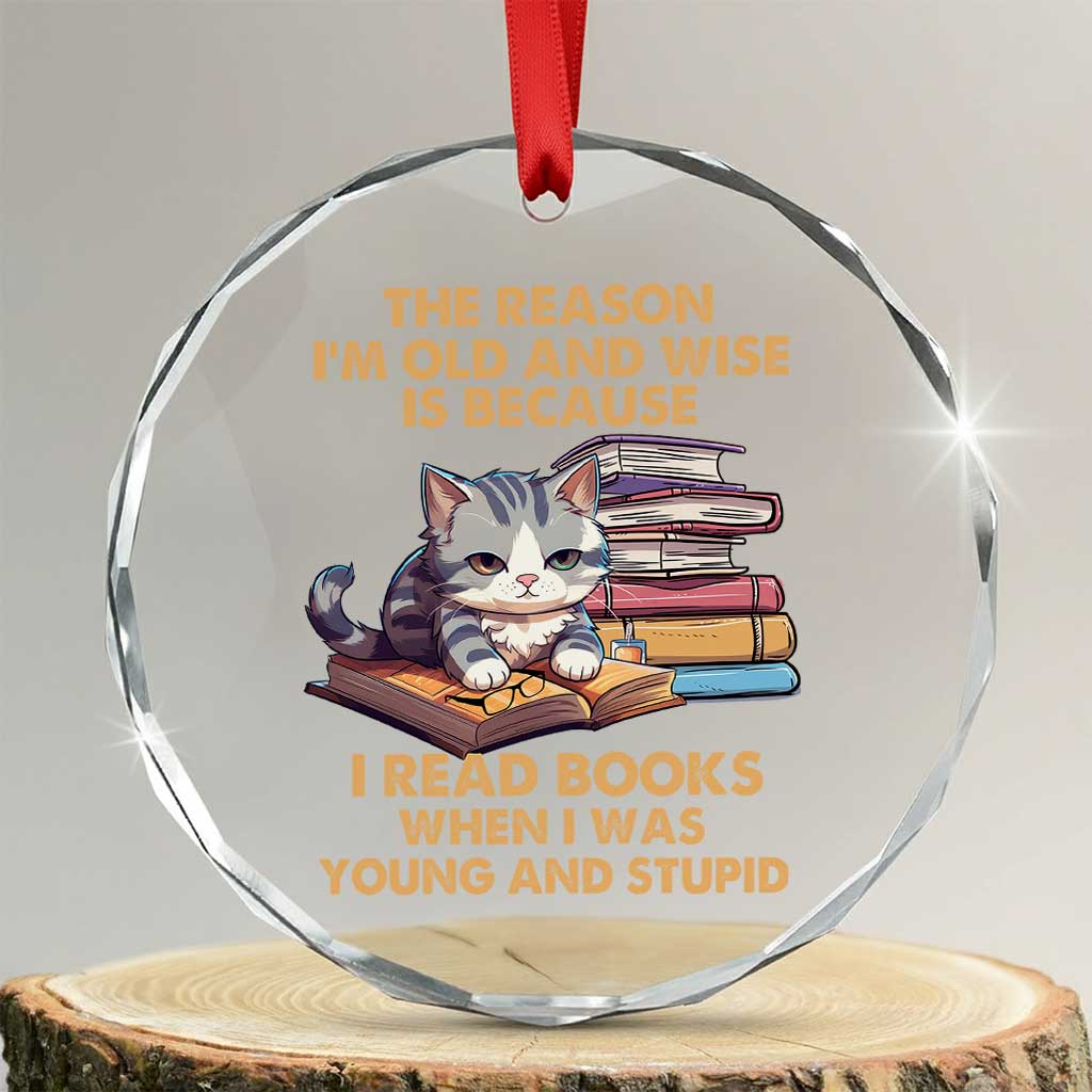 Cat Reading Crystal Glass Ornament I'm Old And Wise Because I Read Books When I Was Young And Stupid Funny Reading Lover - Print Your Wear