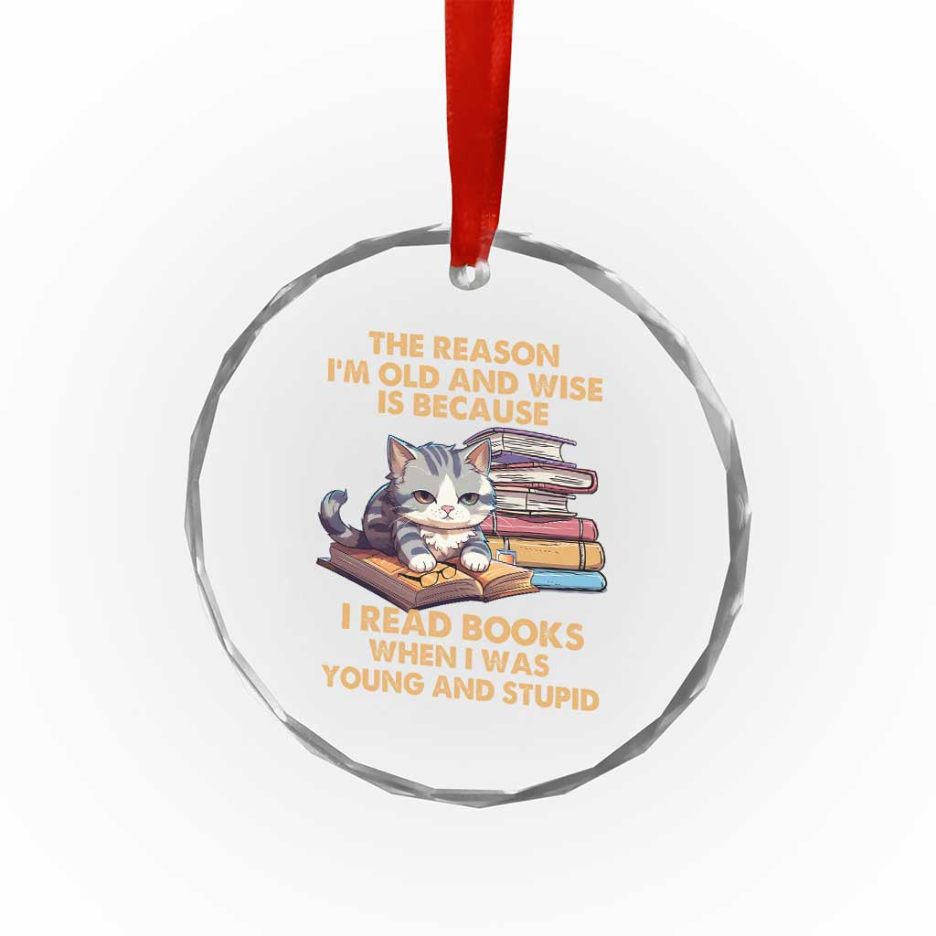 Cat Reading Crystal Glass Ornament I'm Old And Wise Because I Read Books When I Was Young And Stupid Funny Reading Lover TS02 Print Your Wear