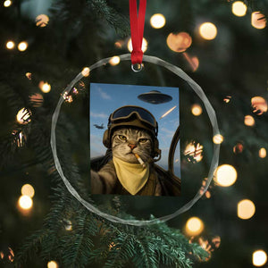 Cat Selfie With Alien UFO Crystal Glass Ornament Retro Space Sci-Fi Cat Pilot TS10 Print Your Wear
