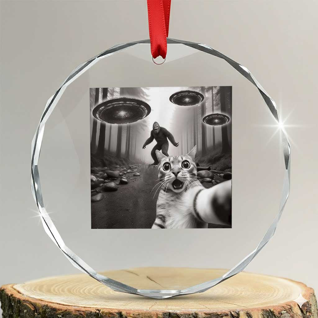 Cat Selfie With Bigfoot UFO Crystal Glass Ornament Funny Cat Lover Gifts TS10 Transparent Glass 3'' Circle Print Your Wear