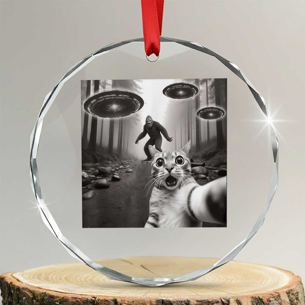 Cat Selfie With Bigfoot UFO Crystal Glass Ornament Funny Cat Lover Gifts - Print Your Wear