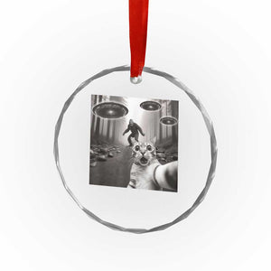 Cat Selfie With Bigfoot UFO Crystal Glass Ornament Funny Cat Lover Gifts TS10 Print Your Wear