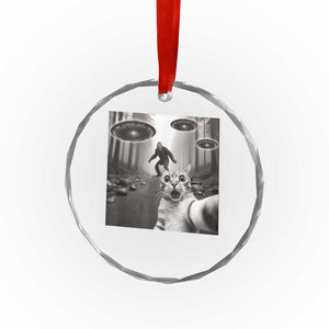 Cat Selfie With Bigfoot UFO Crystal Glass Ornament Funny Cat Lover Gifts TS10 Print Your Wear