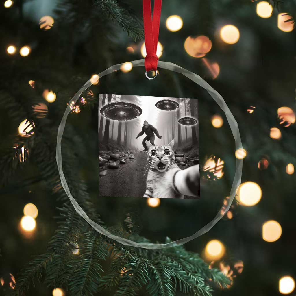 Cat Selfie With Bigfoot UFO Crystal Glass Ornament Funny Cat Lover Gifts TS10 Print Your Wear