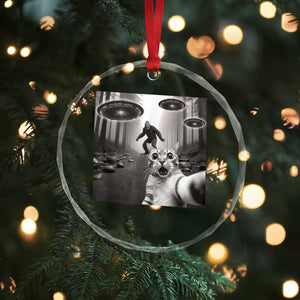Cat Selfie With Bigfoot UFO Crystal Glass Ornament Funny Cat Lover Gifts TS10 Print Your Wear