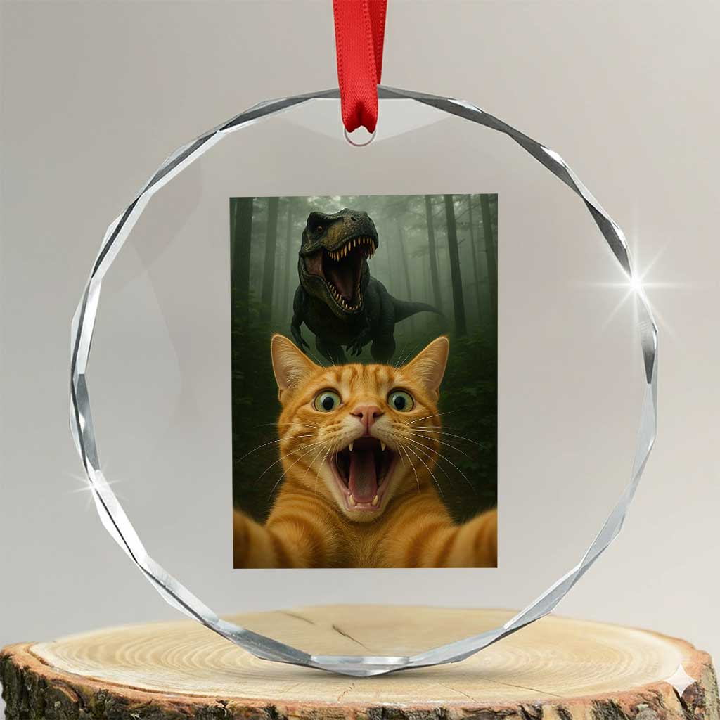 Cat Selfie With Dinosaur Crystal Glass Ornament Funny Cat Gifts TS10 Transparent Glass 3'' Circle Print Your Wear