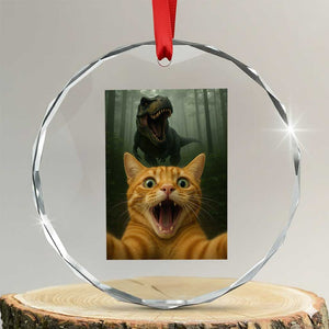 Cat Selfie With Dinosaur Crystal Glass Ornament Funny Cat Gifts TS10 Transparent Glass 3'' Circle Print Your Wear
