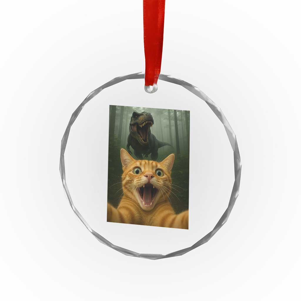 Cat Selfie With Dinosaur Crystal Glass Ornament Funny Cat Gifts TS10 Print Your Wear