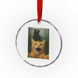 Cat Selfie With Dinosaur Crystal Glass Ornament Funny Cat Gifts TS10 Print Your Wear