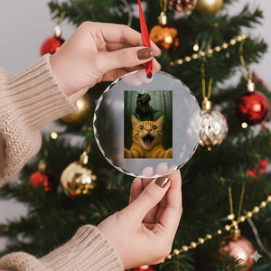 Cat Selfie With Dinosaur Crystal Glass Ornament Funny Cat Gifts TS10 Print Your Wear