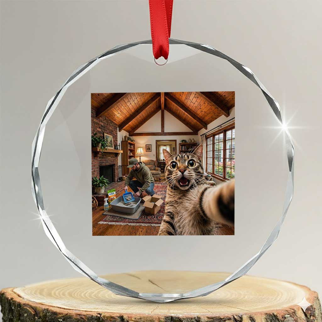 Cat Selfie with Man Funny Cat Dad Crystal Glass Ornament TS11 Transparent Glass 3'' Circle Print Your Wear