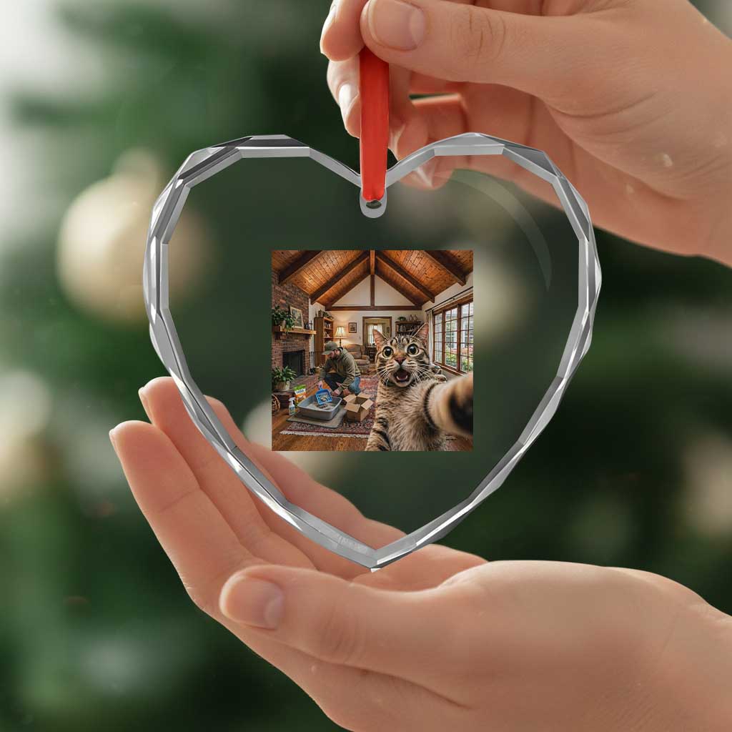 Cat Selfie with Man Funny Cat Dad Heart Crystal Glass Ornament TS11 Print Your Wear