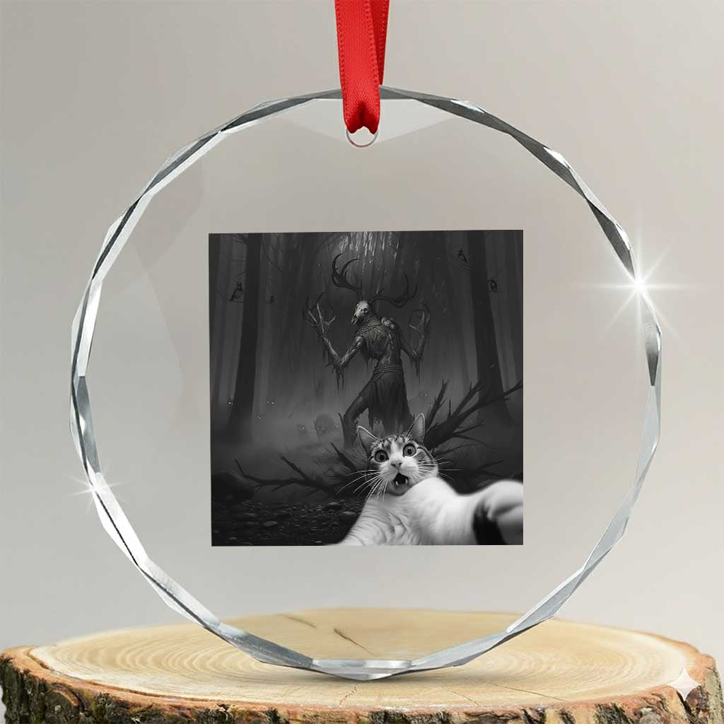 Cat Selfie With Wendigo Crystal Glass Ornament Horror Halloween Funny Cat Gifts TS10 Transparent Glass 3'' Circle Print Your Wear