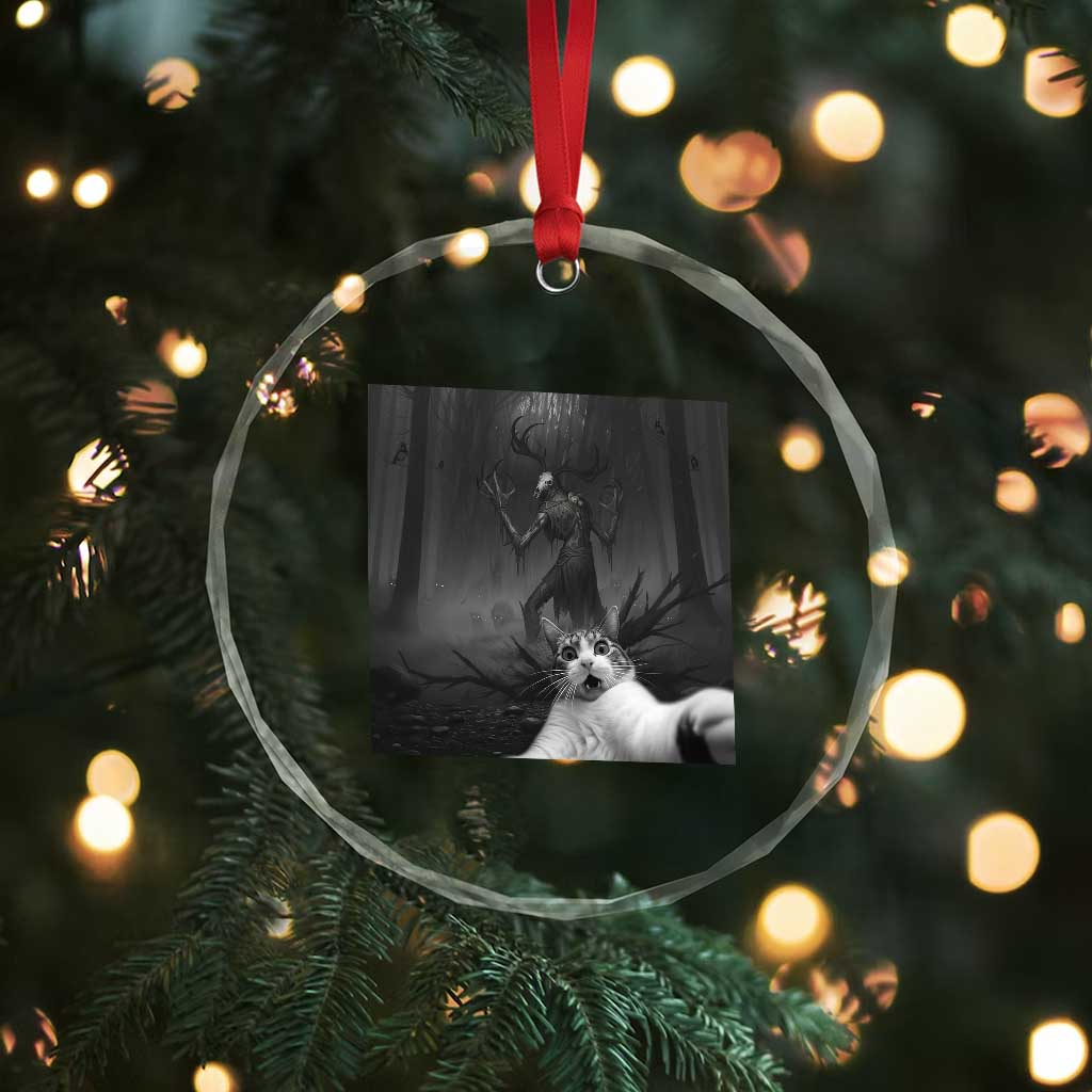 Cat Selfie With Wendigo Crystal Glass Ornament Horror Halloween Funny Cat Gifts TS10 Print Your Wear