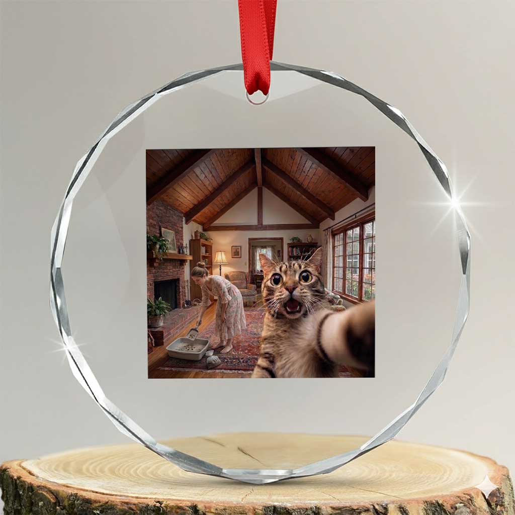 Cat Selfie with Woman Funny Cat Mom Crystal Glass Ornament TS11 Transparent Glass 3'' Circle Print Your Wear