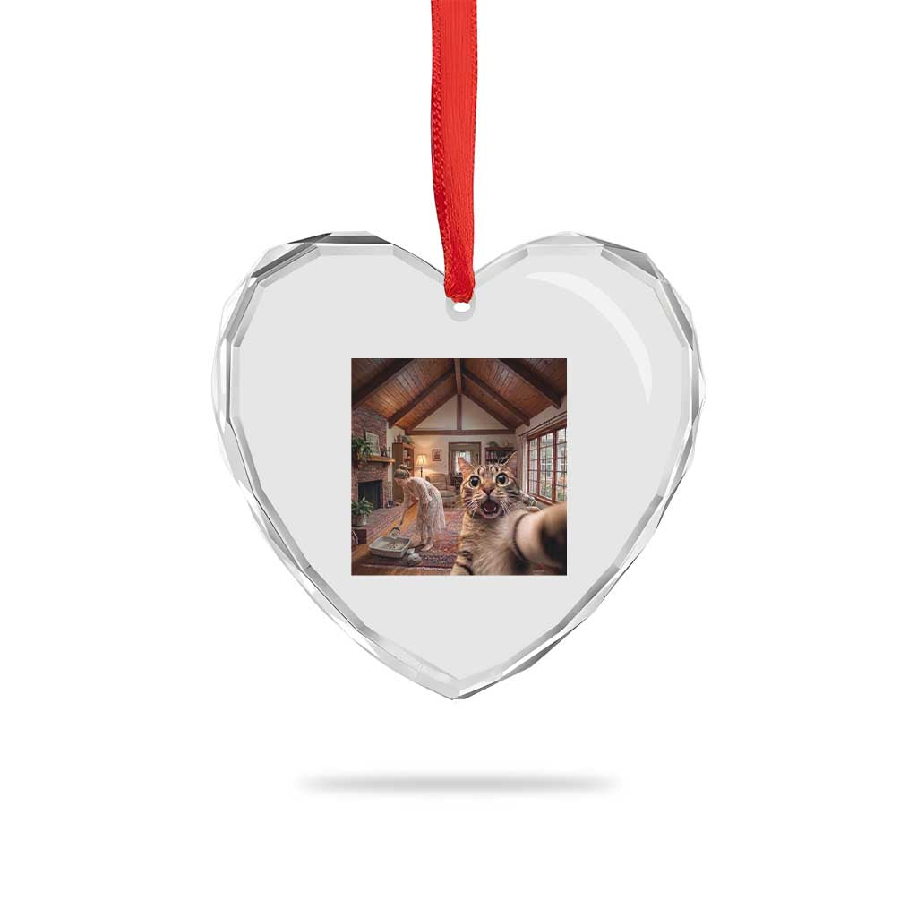 Cat Selfie with Woman Funny Cat Mom Heart Crystal Glass Ornament TS11 Print Your Wear