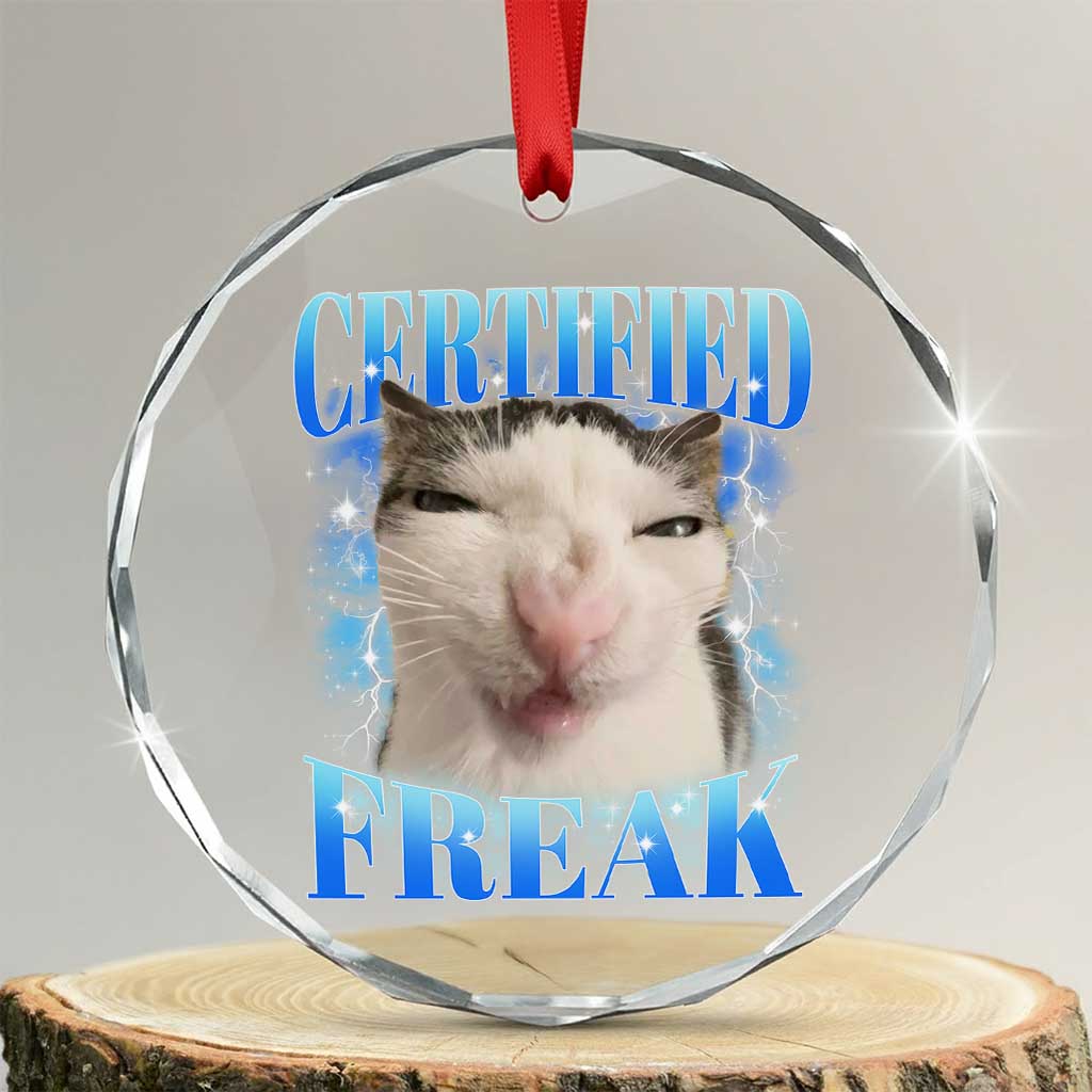 Certified Freak Funny Cat Meme Crystal Glass Ornament Internet Memes Gen Z TS10 Transparent Glass 3'' Circle Print Your Wear