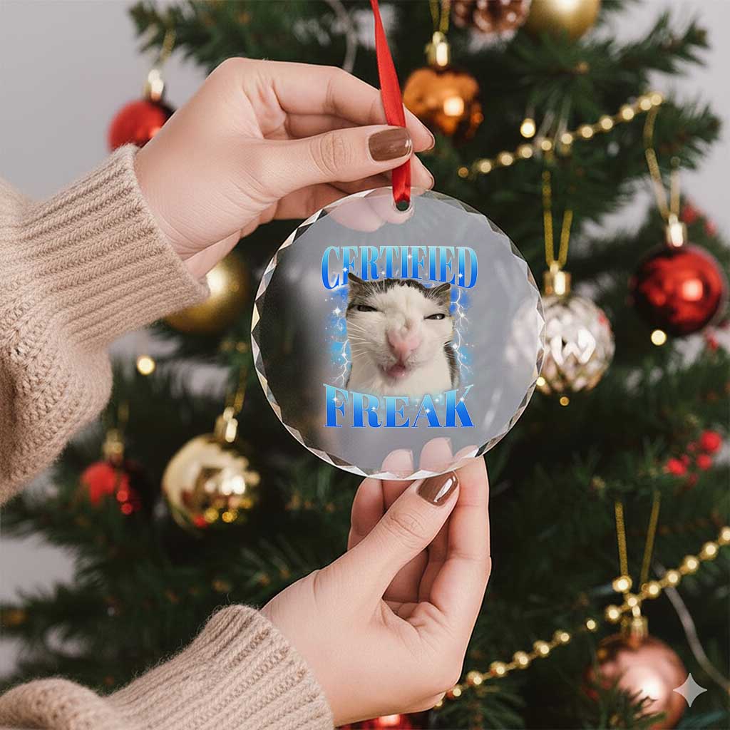 Certified Freak Funny Cat Meme Crystal Glass Ornament Internet Memes Gen Z TS10 Print Your Wear