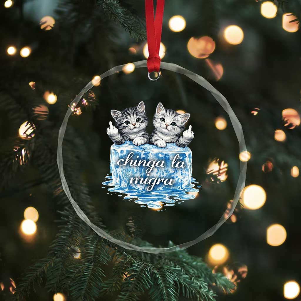 Chinga La Migra Crystal Glass Ornament Cute Cat Melting Ice Pro Immigrant TS11 Print Your Wear