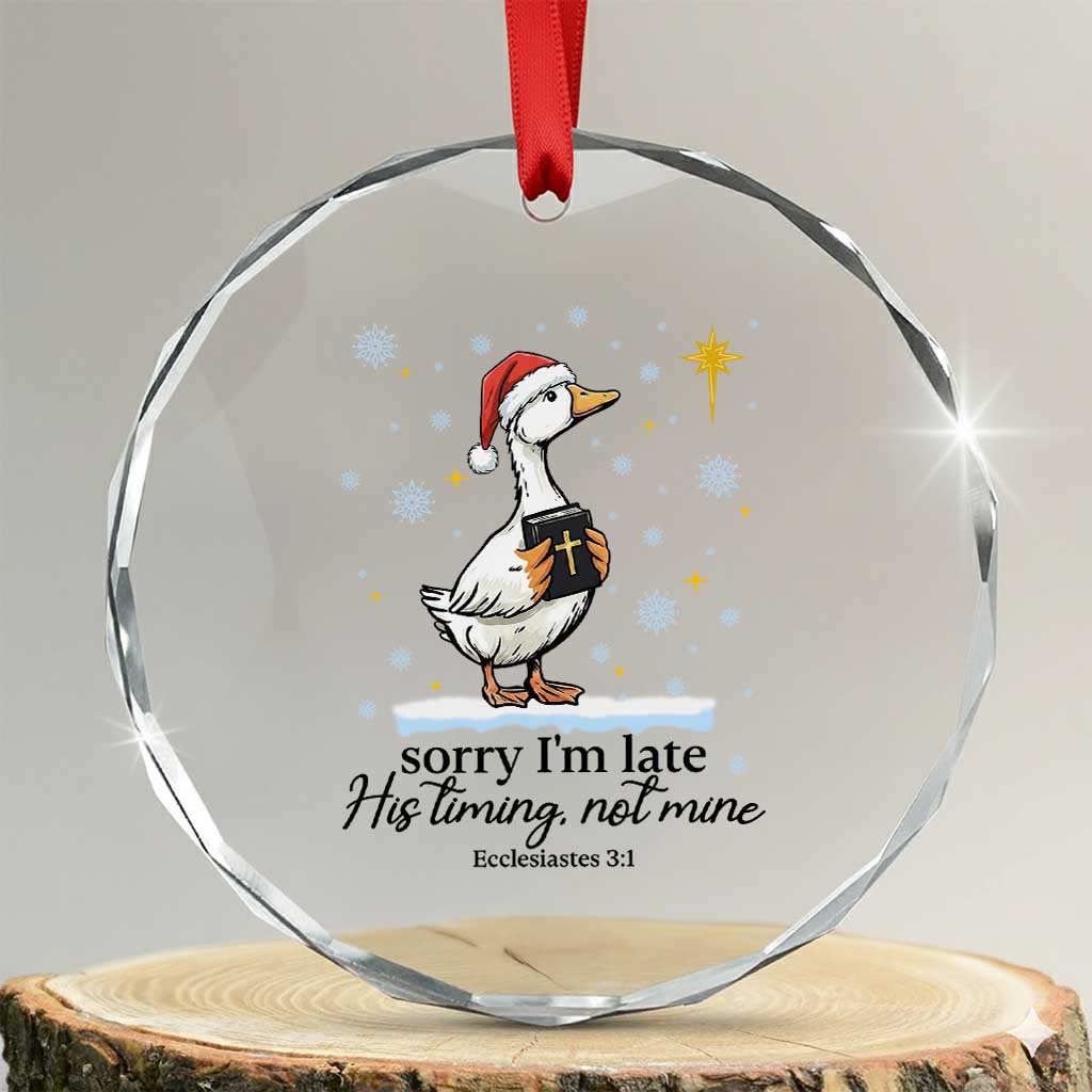 Christian Goose Crystal Glass Ornament Sorry I Am Late His Timing Not Mine TS14 Transparent Glass 3'' Circle Print Your Wear