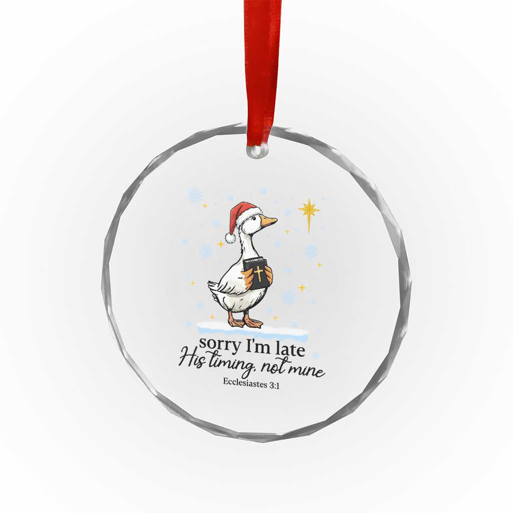 Christian Goose Crystal Glass Ornament Sorry I Am Late His Timing Not Mine TS14 Print Your Wear