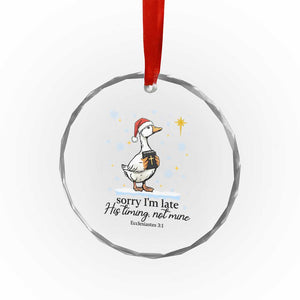 Christian Goose Crystal Glass Ornament Sorry I Am Late His Timing Not Mine TS14 Print Your Wear