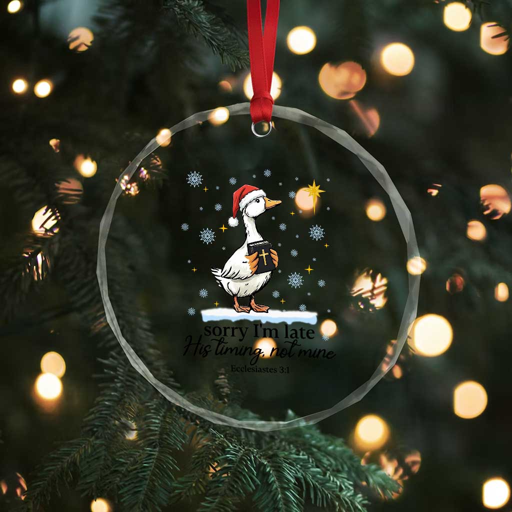 Christian Goose Crystal Glass Ornament Sorry I Am Late His Timing Not Mine TS14 Print Your Wear