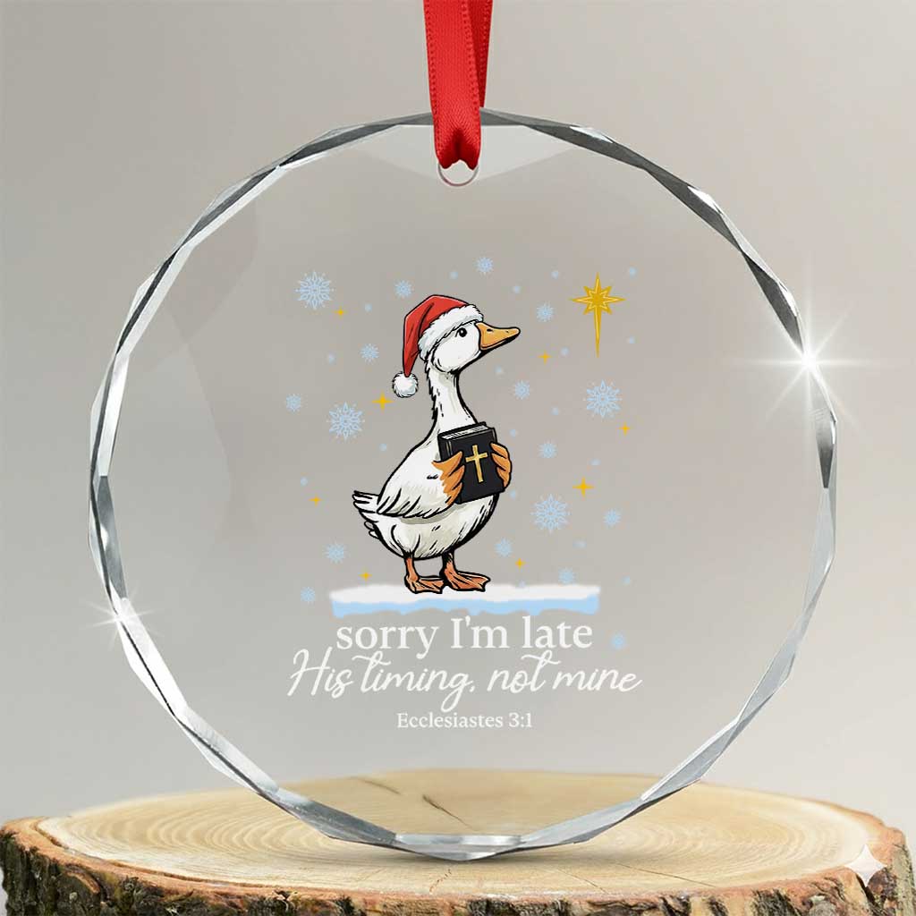 Christian Silly Goose Crystal Glass Ornament Sorry I Am Late His Timing Not Mine TS14 Transparent Glass 3'' Circle Print Your Wear