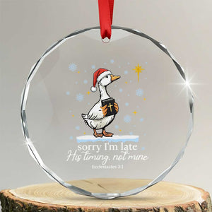 Christian Silly Goose Crystal Glass Ornament Sorry I Am Late His Timing Not Mine TS14 Transparent Glass 3'' Circle Print Your Wear