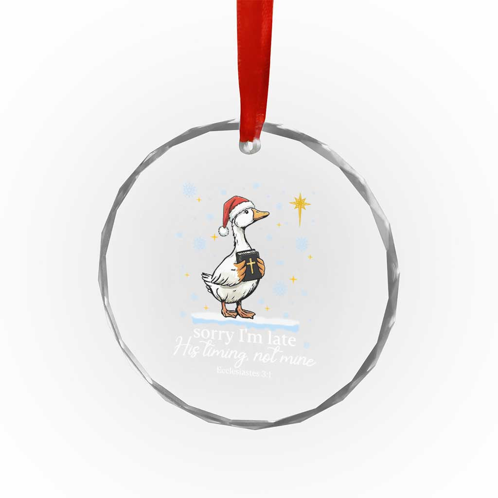 Christian Silly Goose Crystal Glass Ornament Sorry I Am Late His Timing Not Mine TS14 Print Your Wear