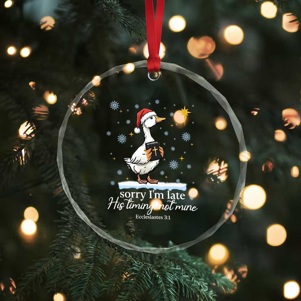 Christian Silly Goose Crystal Glass Ornament Sorry I Am Late His Timing Not Mine TS14 Print Your Wear
