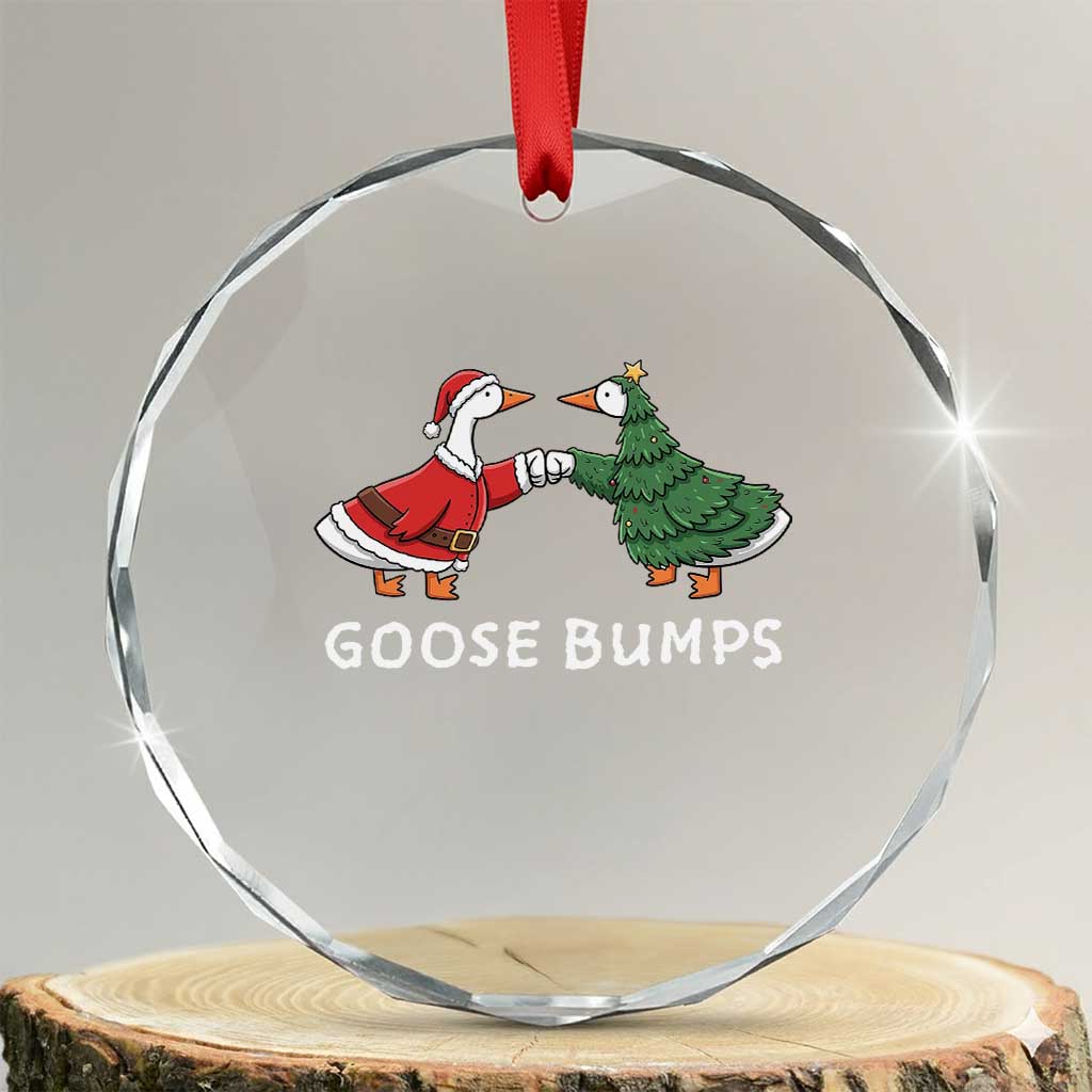 Christmas Goose Bumps Holiday Season Crystal Glass Ornament TS14 Transparent Glass 3'' Circle Print Your Wear
