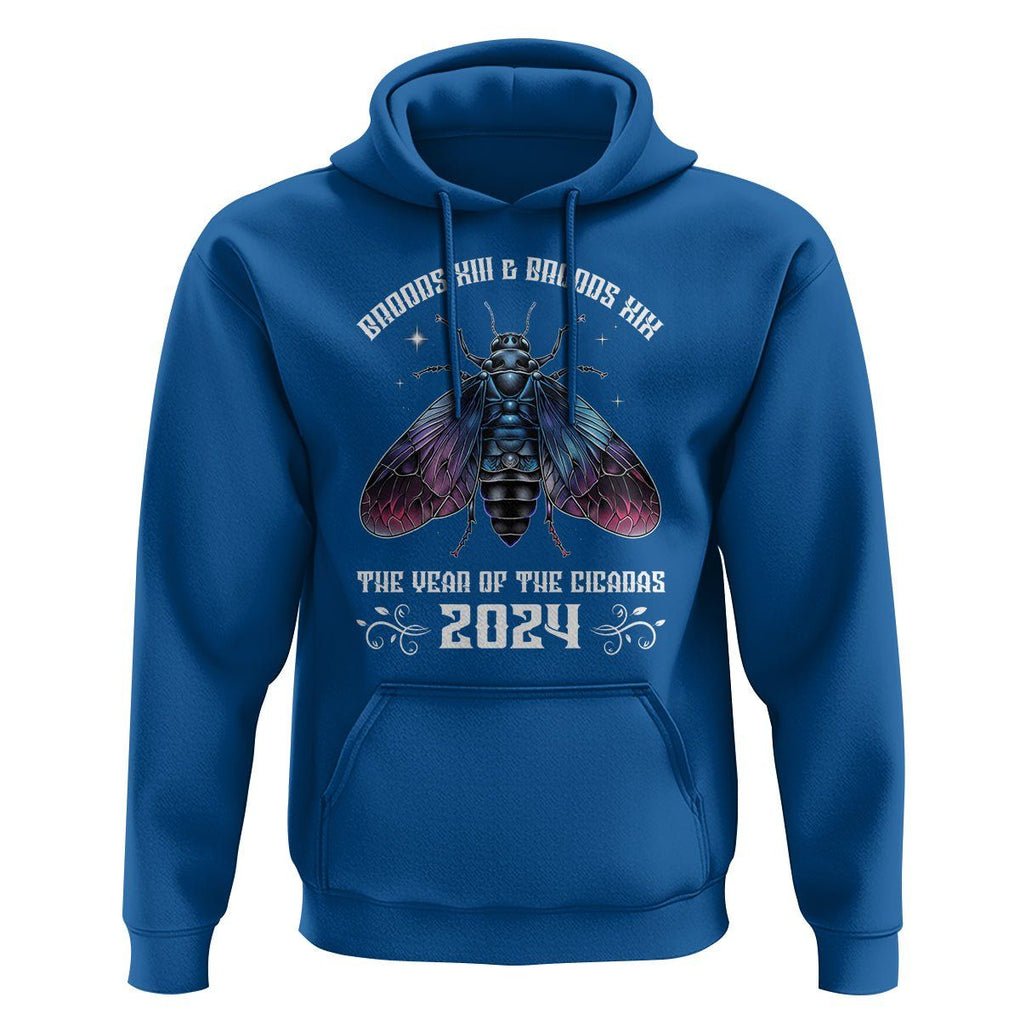 Cicada Lover Hoodie Broods XIII & XIX The Year Of The Cicadas 2024 TS09 Royal Blue Print Your Wear