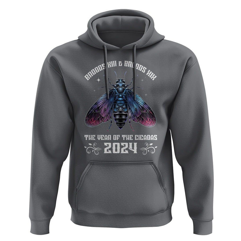 Cicada Lover Hoodie Broods XIII & XIX The Year Of The Cicadas 2024 TS09 Charcoal Print Your Wear