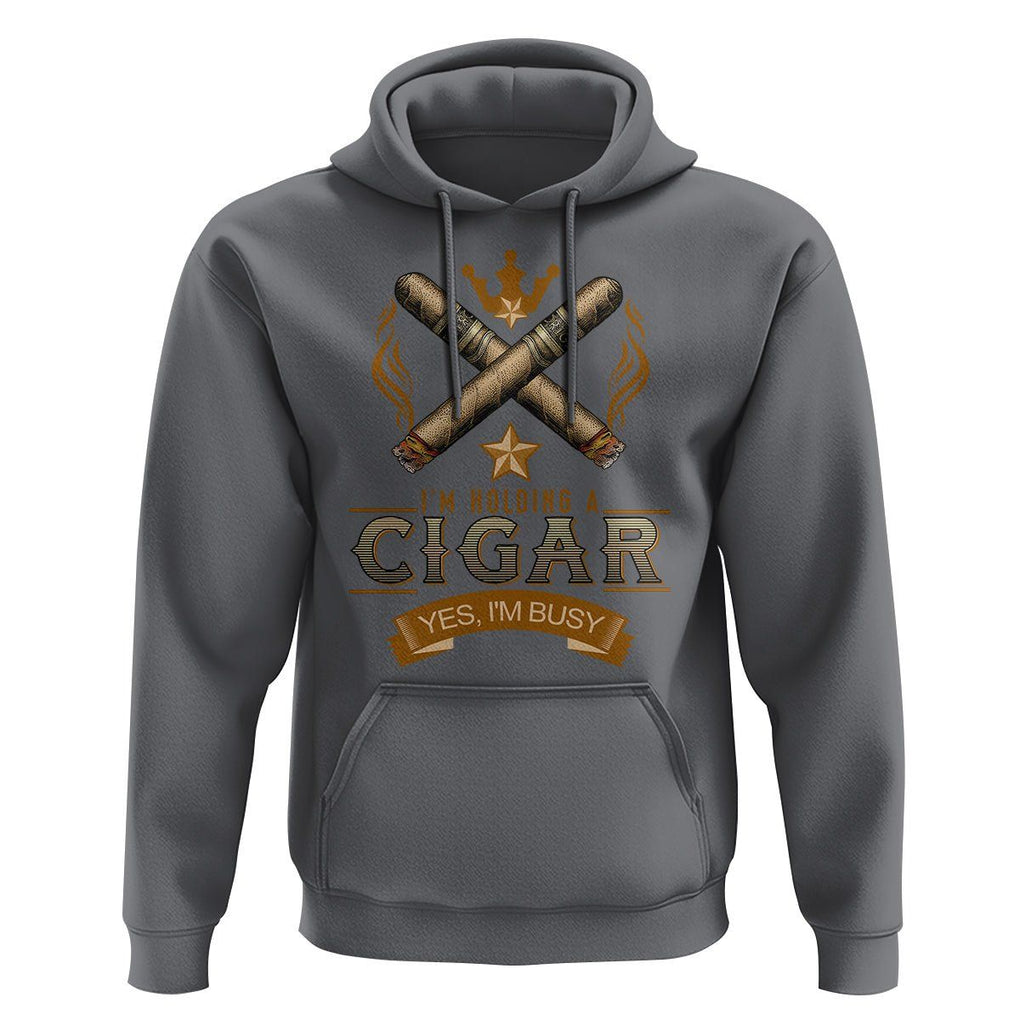 Cigar Lover Hoodie I'm Holding A Cigar Yes I'm Busy TS09 Charcoal Print Your Wear
