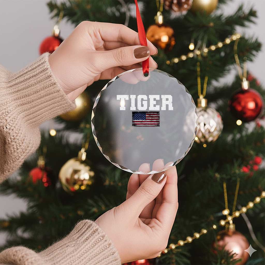 Classic Tiger Crystal Glass Ornament Retro Varsity Vintage Sports Team Name USA Flag TS10 Print Your Wear