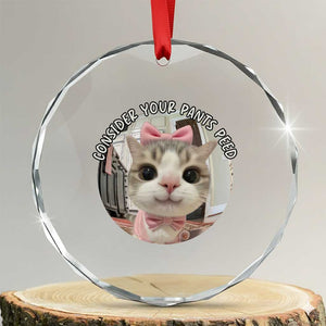 Consider Your Pants Peed Crystal Glass Ornament Funny Cat Meme Saying TS12 Transparent Glass 3'' Circle Print Your Wear