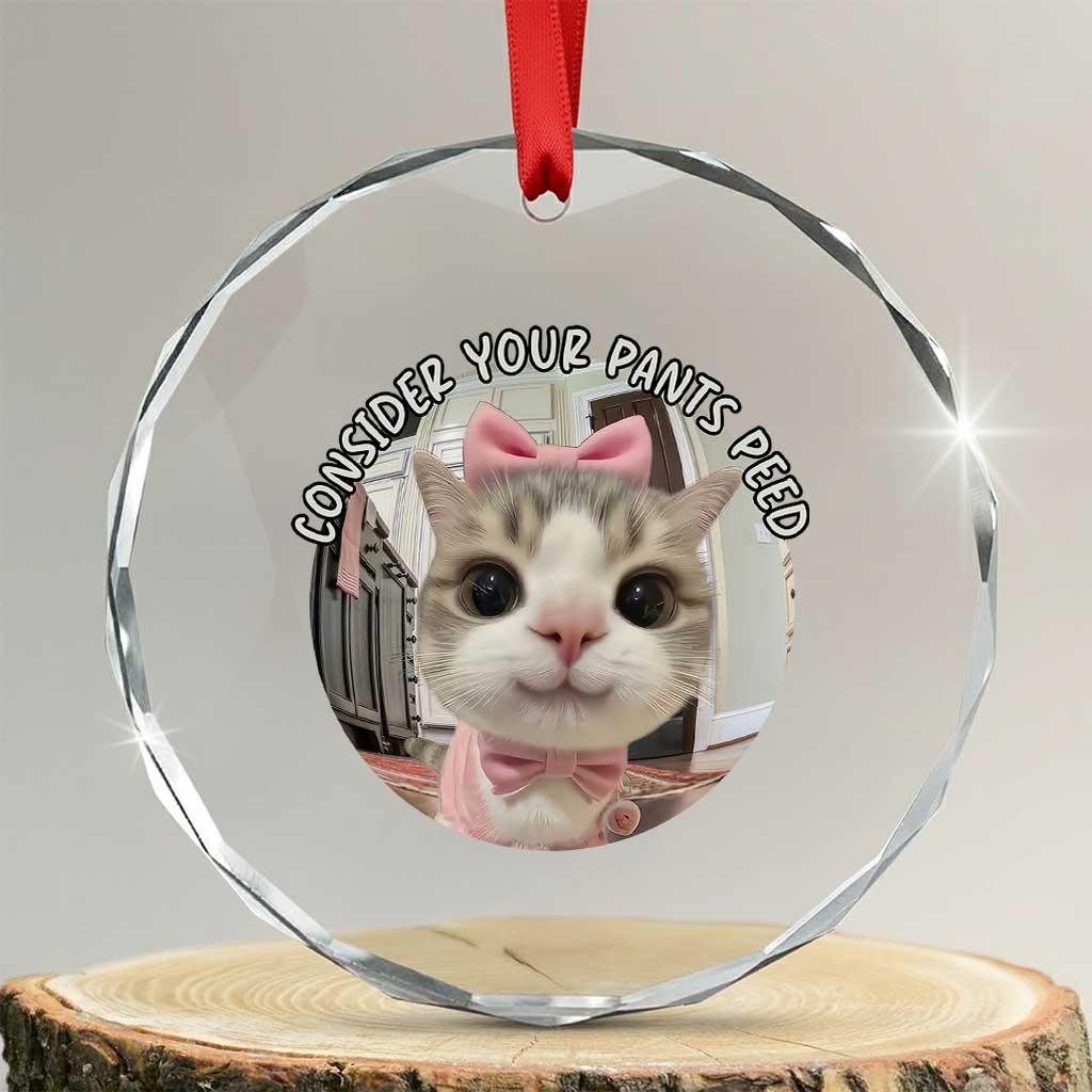 Consider Your Pants Peed Crystal Glass Ornament Funny Cat Meme Saying TS12 Transparent Glass 3'' Circle Print Your Wear