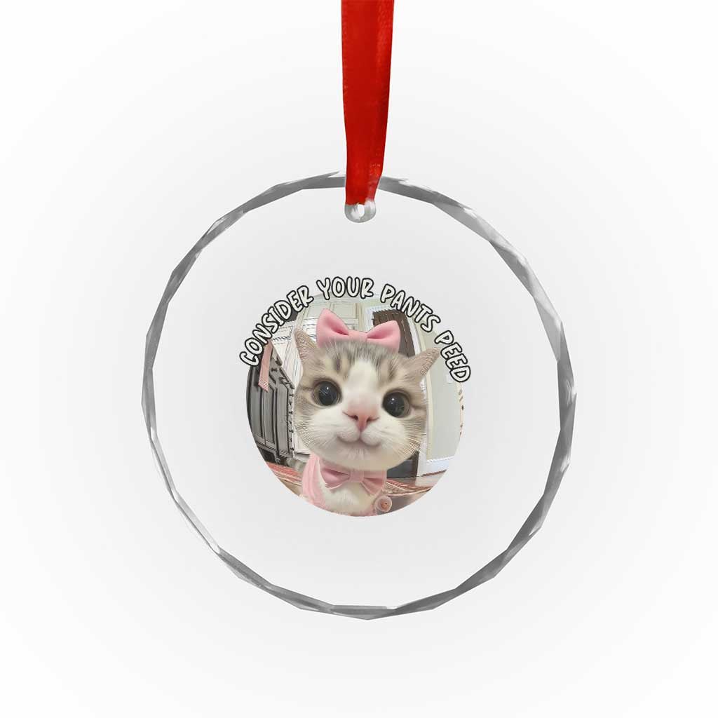Consider Your Pants Peed Crystal Glass Ornament Funny Cat Meme Saying TS12 Print Your Wear