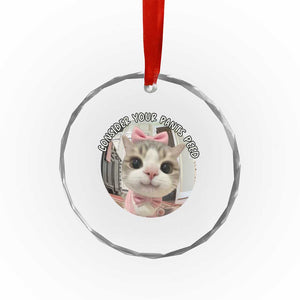 Consider Your Pants Peed Crystal Glass Ornament Funny Cat Meme Saying TS12 Print Your Wear