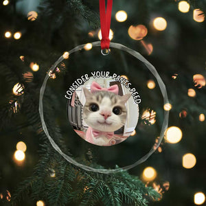 Consider Your Pants Peed Crystal Glass Ornament Funny Cat Meme Saying TS12 Print Your Wear