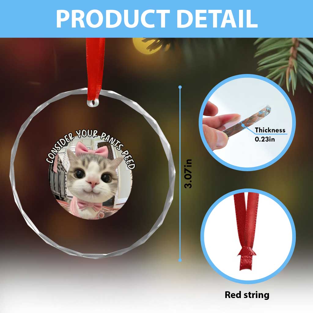 Consider Your Pants Peed Crystal Glass Ornament Funny Cat Meme Saying TS12 Print Your Wear