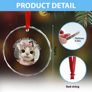 Consider Your Pants Peed Crystal Glass Ornament Funny Cat Meme Saying TS12 Print Your Wear