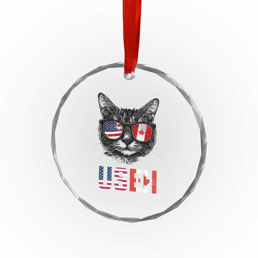 Cool American Canadan Cat Crystal Glass Ornament US EH American Canada Flag Funny TS02 Print Your Wear