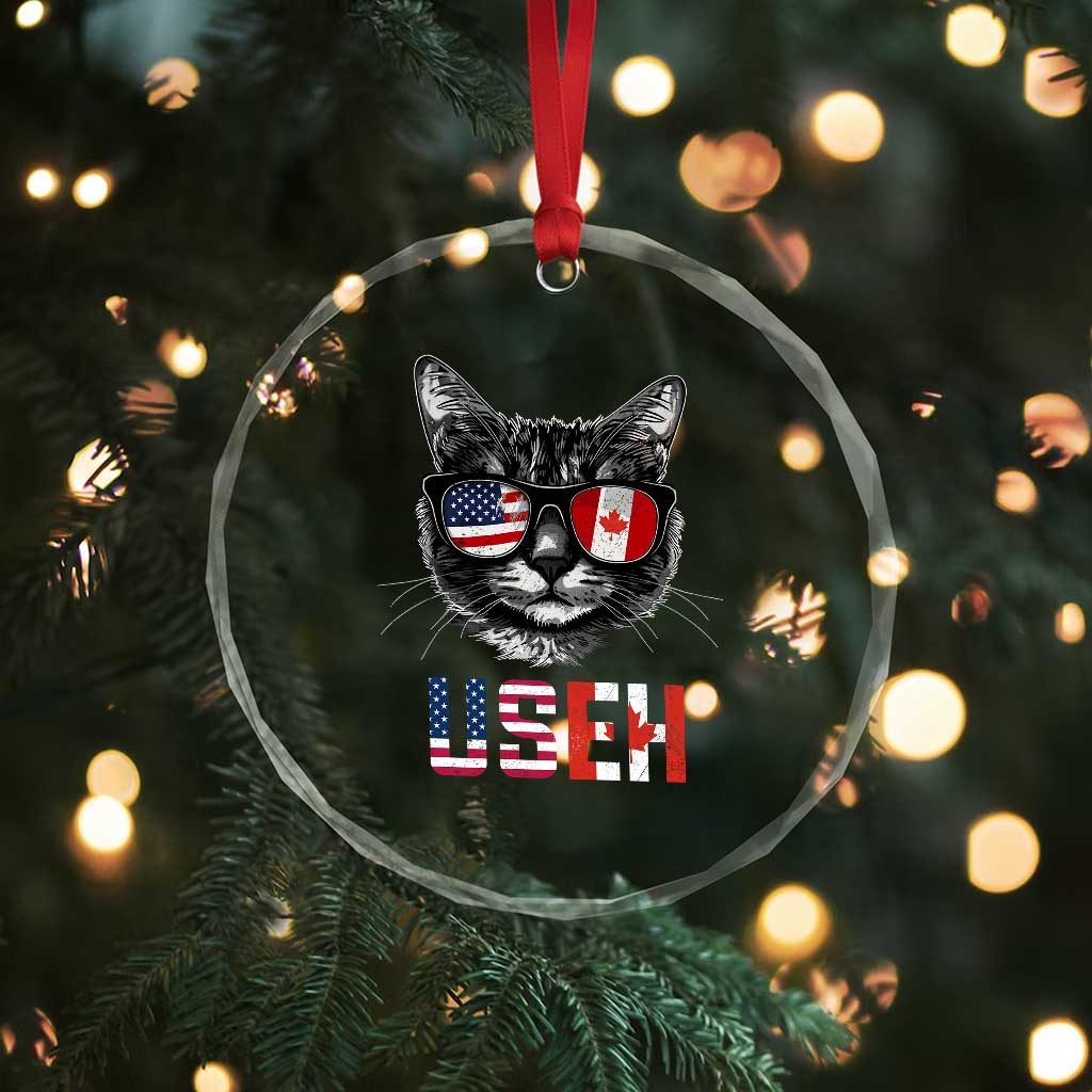 Cool American Canadan Cat Crystal Glass Ornament US EH American Canada Flag Funny TS02 Print Your Wear
